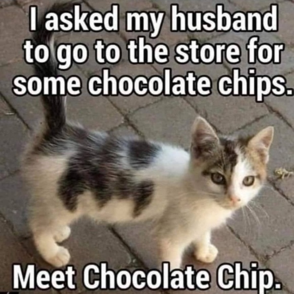 Meet your Posher, Stuff - Picture 2 of 5